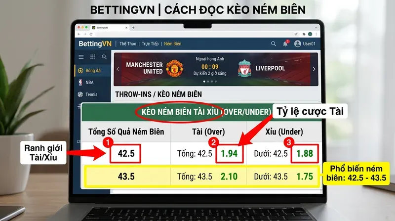 Kèo Ném Biên Là Gì? Cách Chơi & Soi Kèo Hiệu Quả 3 Cách Đọc Tỷ Lệ Kèo Ném Biên Trên Nhà Cái Việt Nam