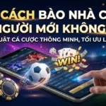 7 Cách Bào Nhà Cái Mà Người Mới Không Biết
