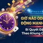 Giờ Nào Odds Biến Động Mạnh Nhất? Bí Quyết Đặt Kèo