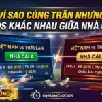 Vì Sao Cùng Trận Nhưng Odds Khác Nhau Giữa Nhà Cái?