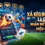 Xả Kèo Bóng Đá Là Gì? Cách Nhận Biết & Xử Lý